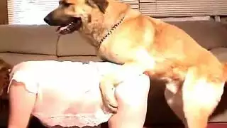 بورن مع الحيوانات: كلب عنيف ينيك ربة منزل مثيرة