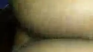 انستازيالوكس