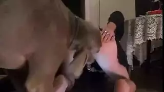 أفلام جنسية مع الحيوانات: كلب ينيك نساء راضيات