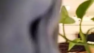 محاكاة ساخرة مكتب نائب الرئيس على الثدي